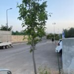 אגס נאשי 75 ליטר